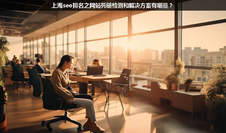 上海seo排名之網站死鏈檢測和解決方案有哪些？
