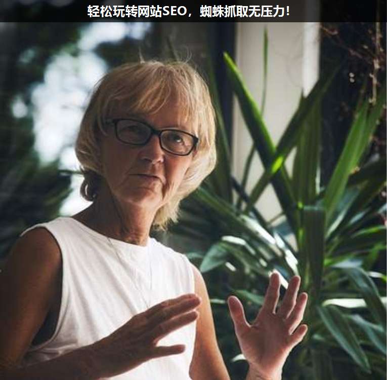輕松玩轉網站SEO,蜘蛛抓取無壓力!