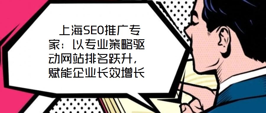  上海SEO推廣專(zhuān)家：以專(zhuān)業(yè)策略驅(qū)動(dòng)網(wǎng)站排名躍升，賦能企業(yè)長(zhǎng)效增長(zhǎng)