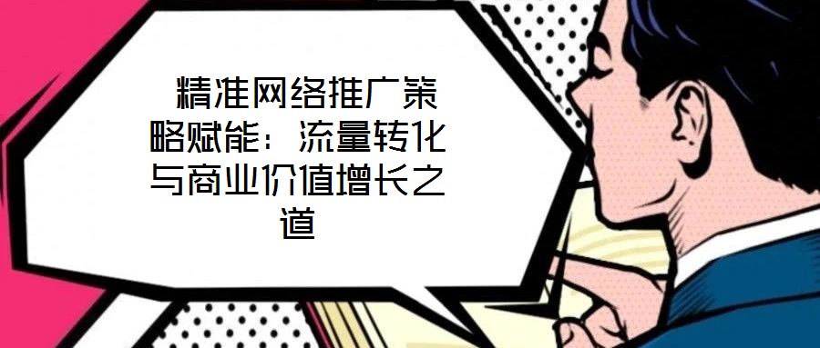  精準網絡推廣策略賦能：流量轉化與商業價值增長之道