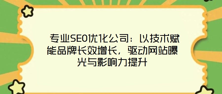  專業(yè)SEO優(yōu)化公司：以技術賦能品牌長效增長，驅動網(wǎng)站曝光與影響力提升