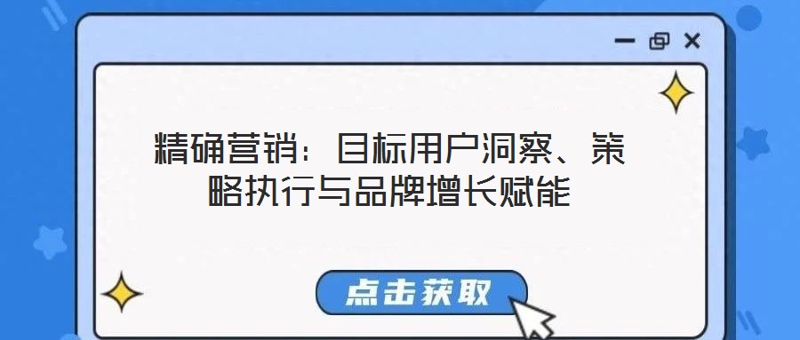 精確營(yíng)銷(xiāo)：目標(biāo)用戶(hù)洞察、策略執(zhí)行與品牌增長(zhǎng)賦能
