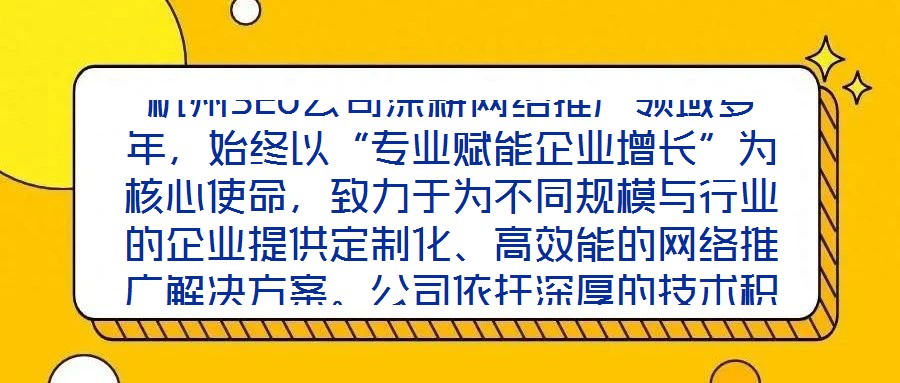 杭州SEO公司深耕網絡推廣領域多年，始終以“專業賦能企業增長”為核心使命，致力于為不同規模與行業的企業提供定制化、高效能的網絡推廣解決方案。公司依托深厚的技術積