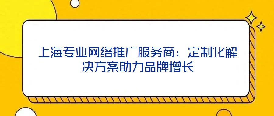 上海專業(yè)網(wǎng)絡(luò)推廣服務(wù)商：定制化解決方案助力品牌增長